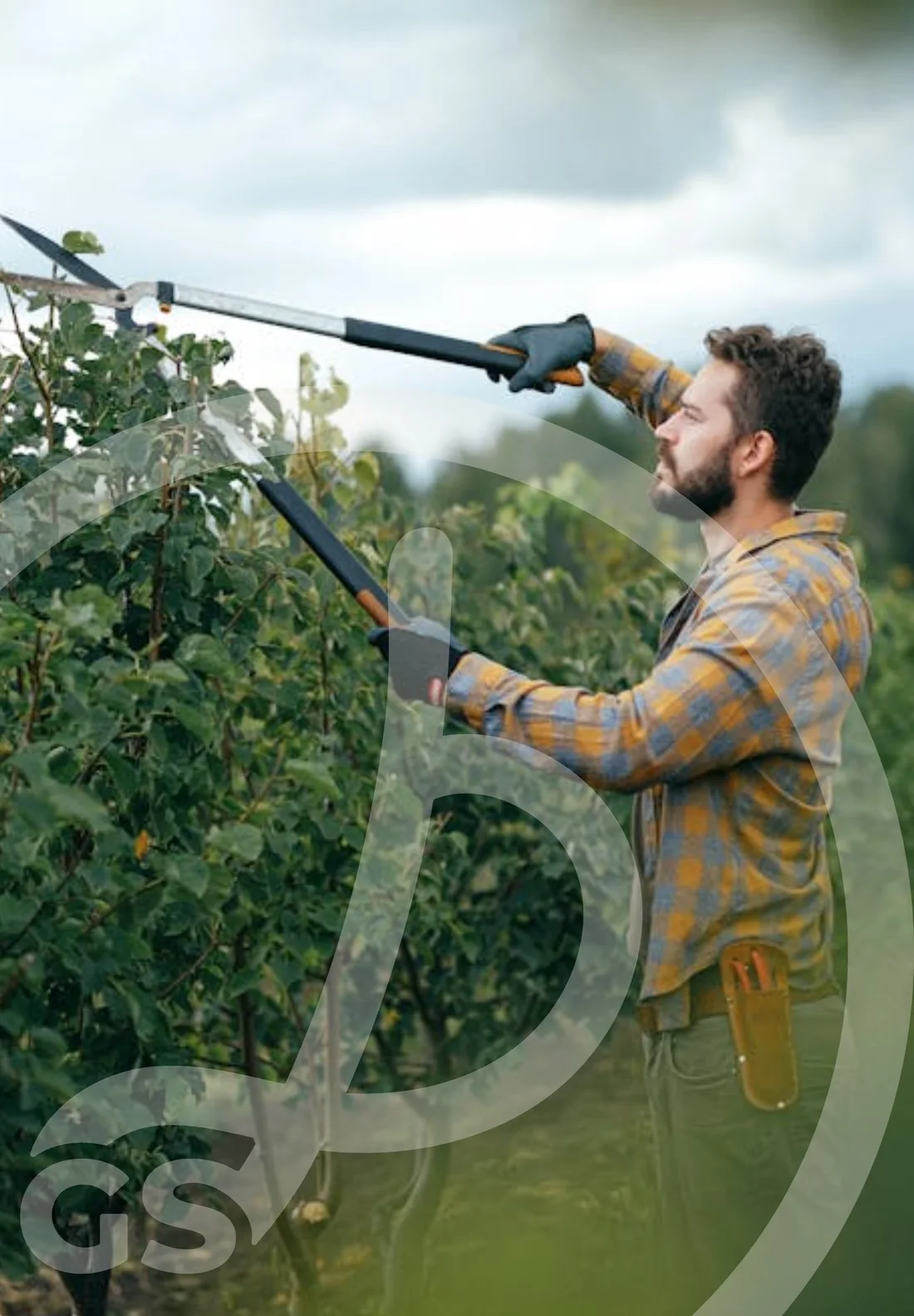 Gardener trimming a hedge, with the Dio's Gardening Services mark